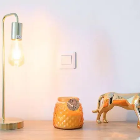 Superb With Terrace, Calm And Tranquility Lägenhet Cannes